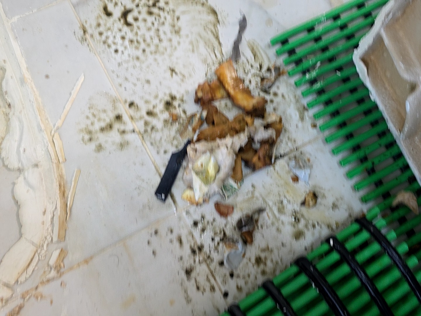 김해 변기 배관에서 회수한 이물질